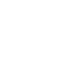 ALTERNET