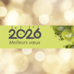 Visuels actu site web (1)